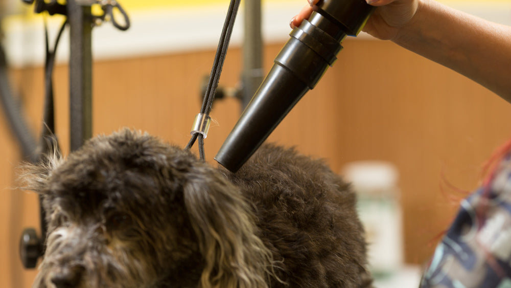 MetroVac Air Force Blaster Pet Dryers