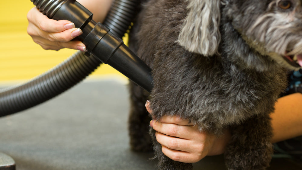 MetroVac Air Force Blaster Pet Dryers